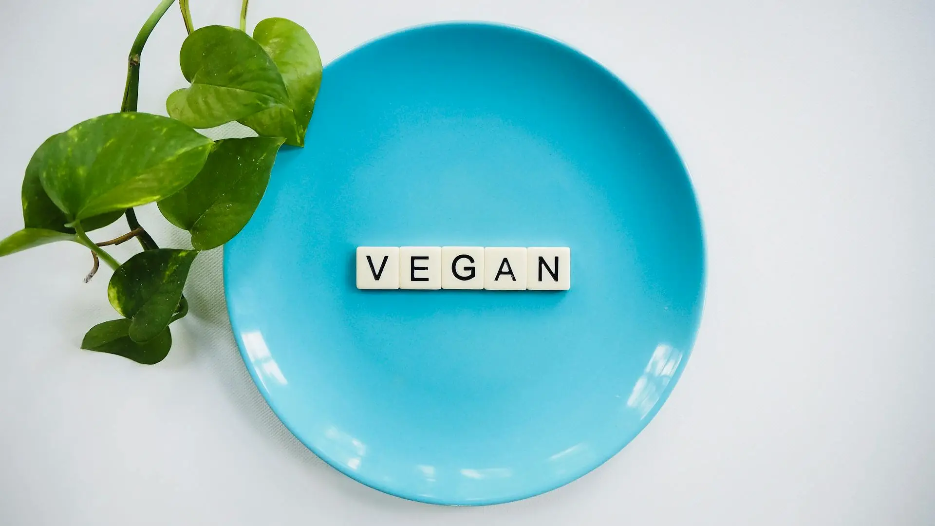 7 Surprising Benefits of a Vegan Diet You Need to Know